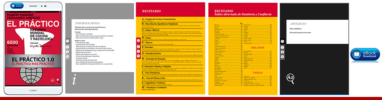 El PRACTICO 1.0 - Edición Digital eBook