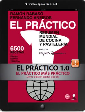 DEMO EL PRACTICO